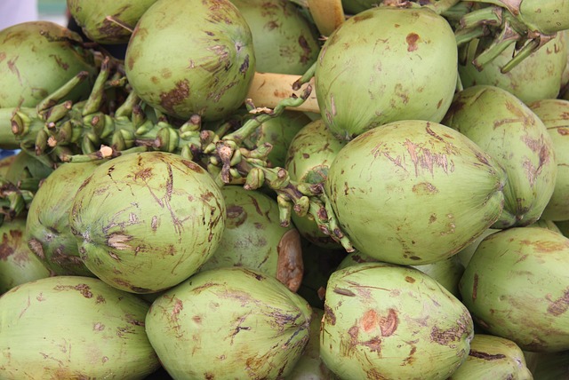 गर्मी